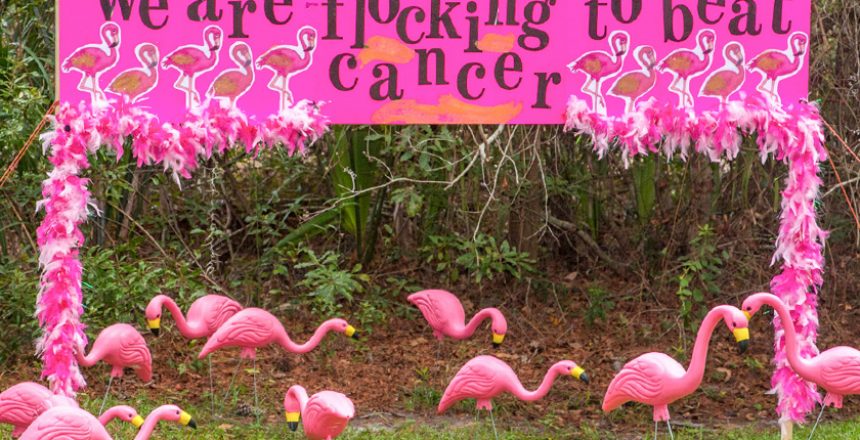 pledge-the-pink-fol-fundraising-2018