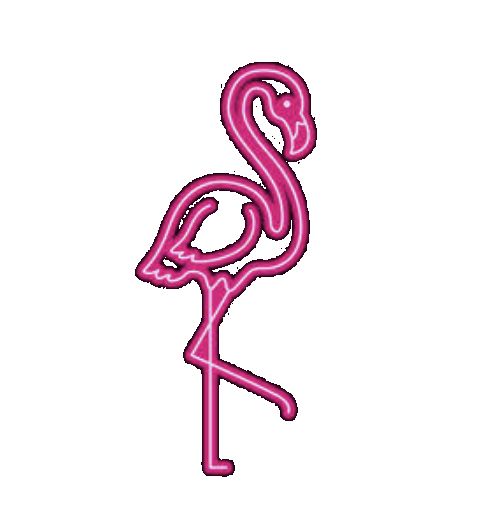 Neon pink flamingo illustration