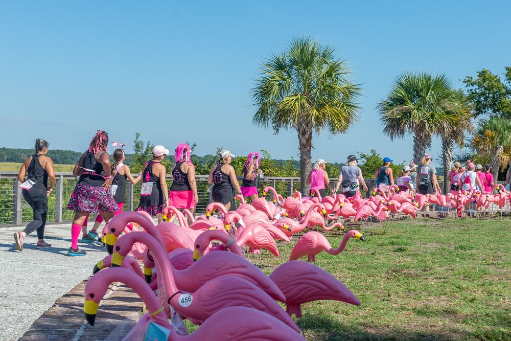 FlockStars passing rows of pink flamingos on the boardwalk