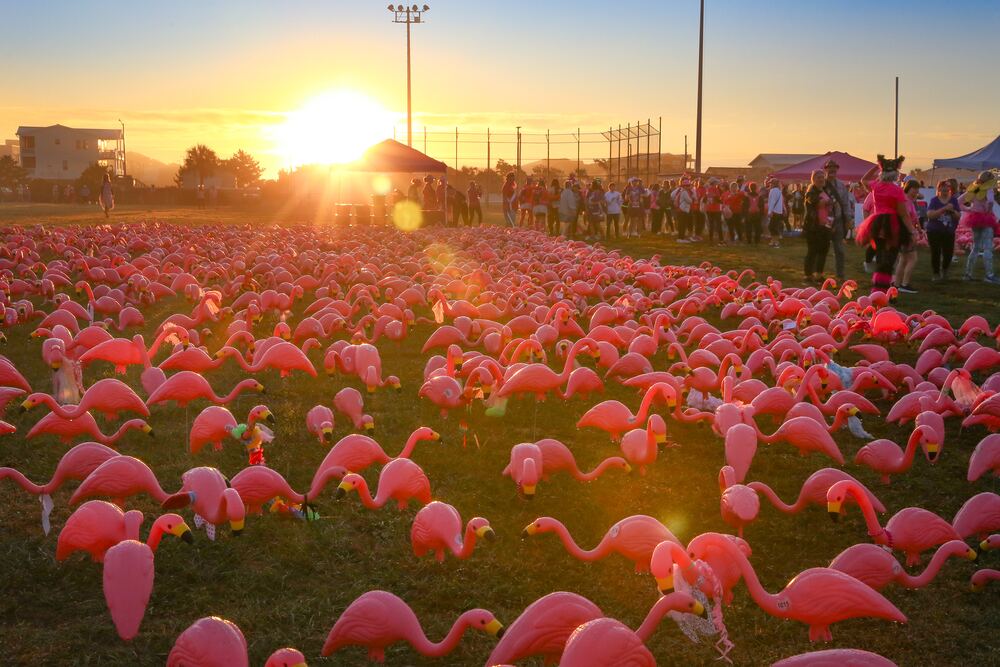 Sun setting over a field of pink plastic flamingos