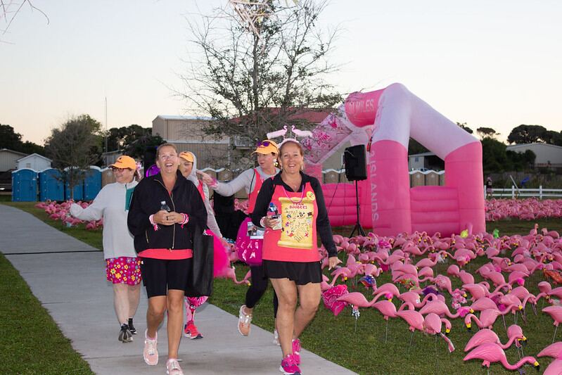 Walkers passing a field of pink flamingos beside an inflatable pink arch