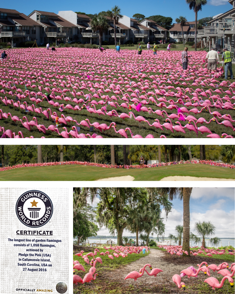 Fundraising Idea: Selling Squares – Pledge the Pink