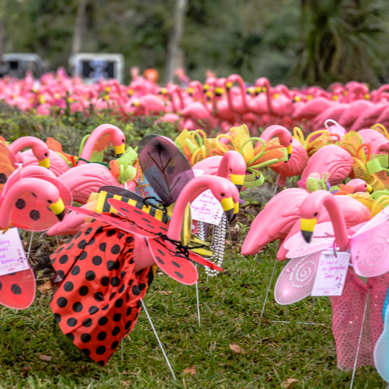 Pledge the Pink Flocks of Love 2