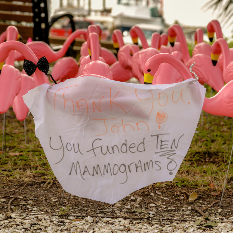 Pledge the Pink Flocks of Love 3