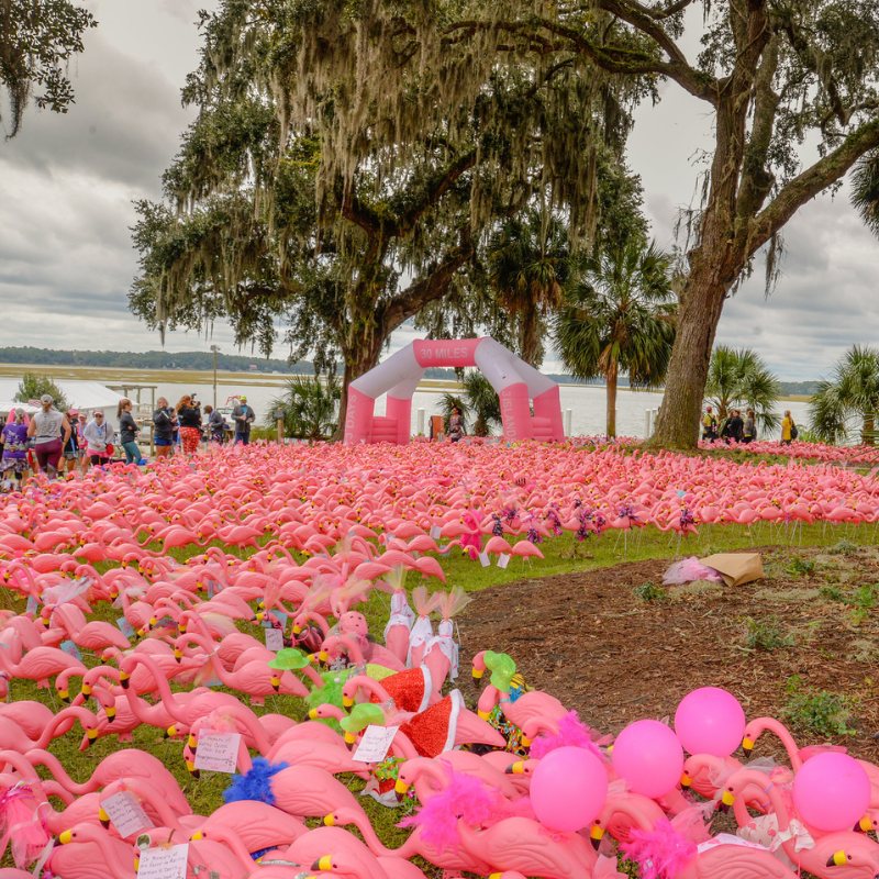 Pledge the Pink Flocks of Love 6