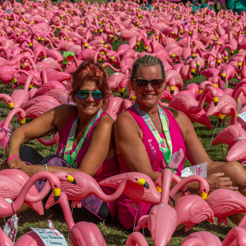 Pledge the Pink Flocks of Love 9